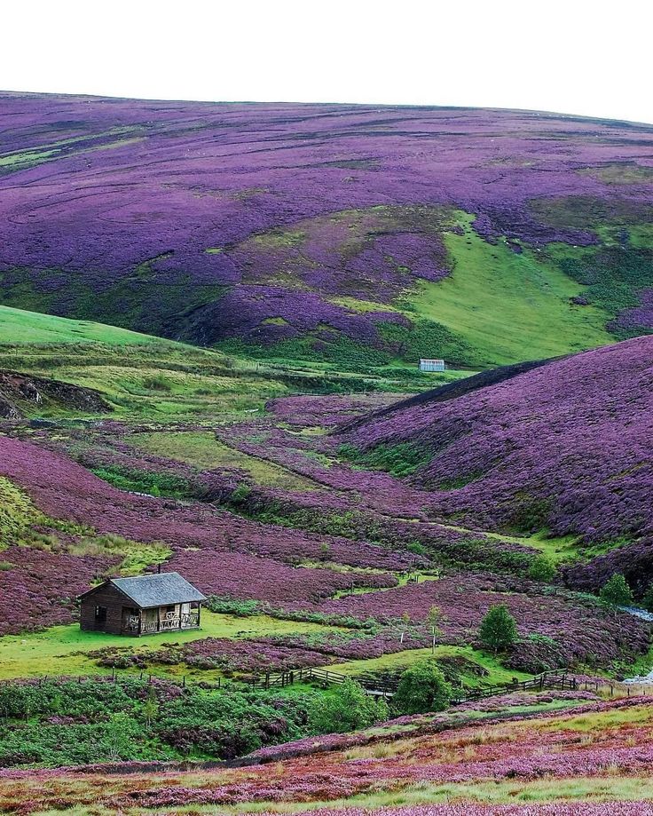 Scottish landscape